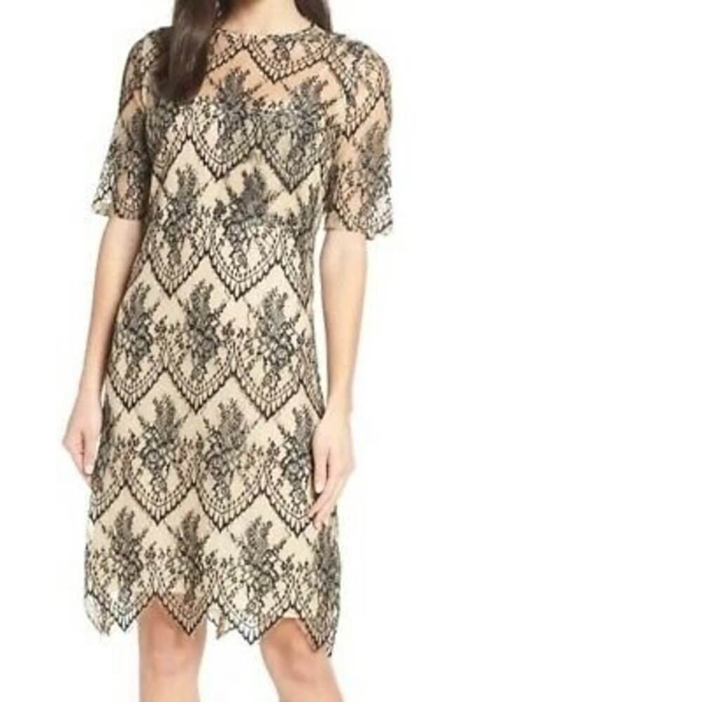 Caara Scalloped Lace Shift Dress Size S Short Sleeve Lined Black Tan NWT B4